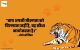 Tiger Quotes in Hindi
