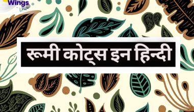 rumi quotes in hindi