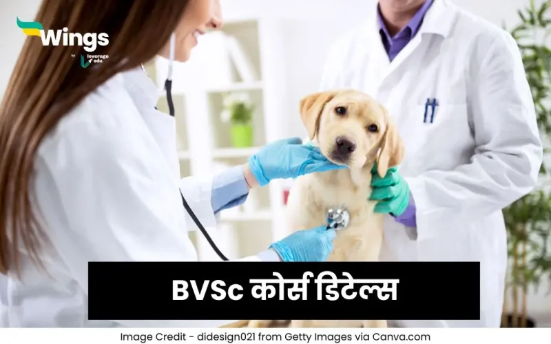 BVSc कोर्स