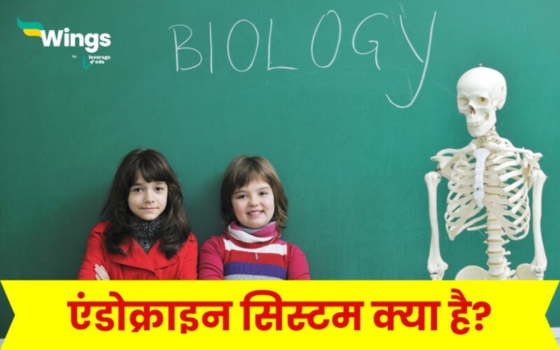 Endocrine System in Hindi