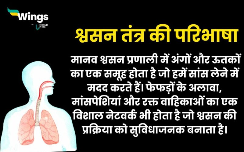 Respiratory System in Hindi : मानव श्वसन तंत्र की परिभाषा क्या है, साथ ...