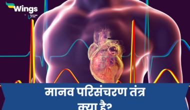 Circulatory System in Hindi