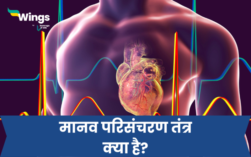 Circulatory System in Hindi