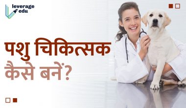 पशु चिकित्सक कैसे बने
