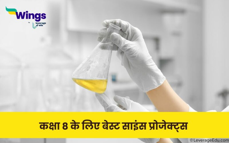 science projects for class 8 in Hindi