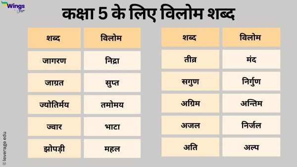 Vilom Shabd in Hindi : विलोम शब्द की परिभाषा, विरुद्धार्थी शब्द के भेद ...