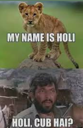 holi memes 