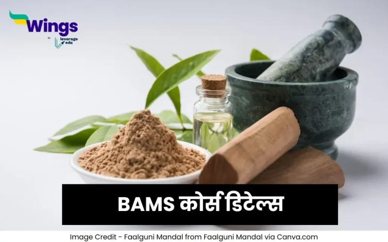 बीएएमएस कोर्स