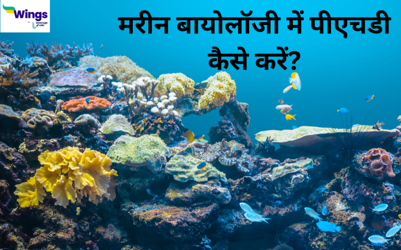 PhD in marine biology in hindi