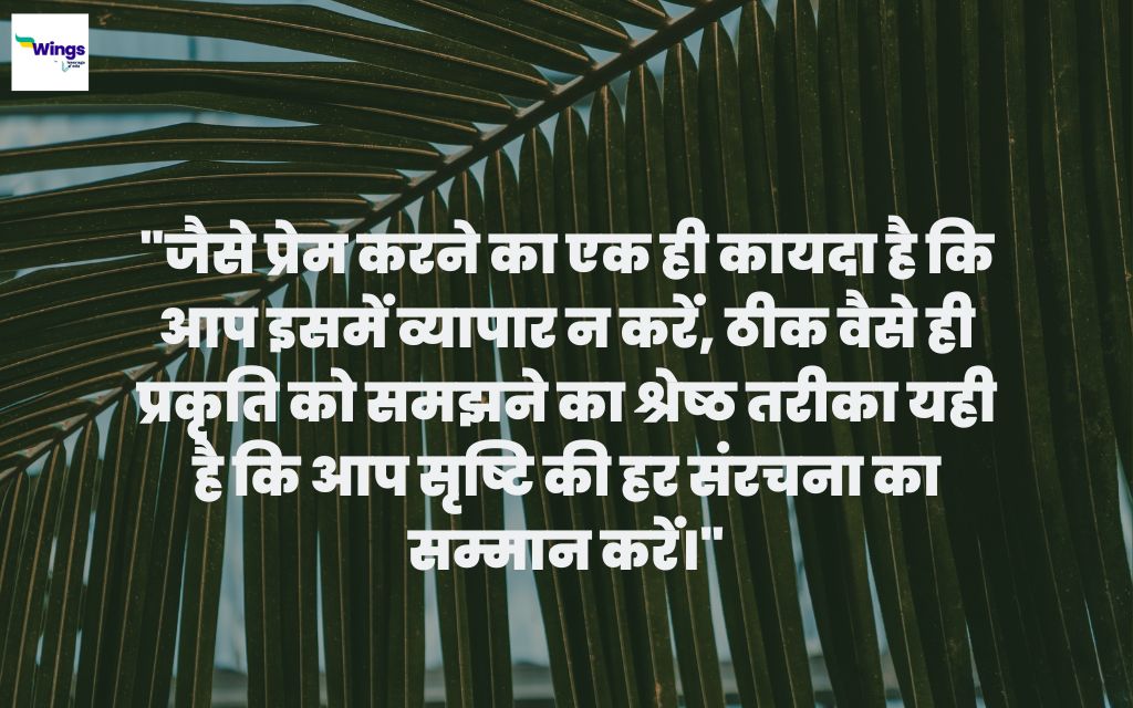 Nature Quotes for Instagram in Hindi