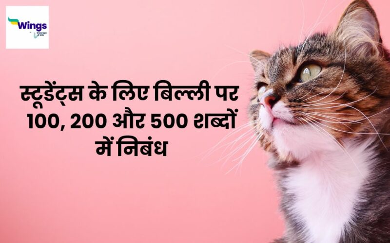 Essay on Cat in Hindi