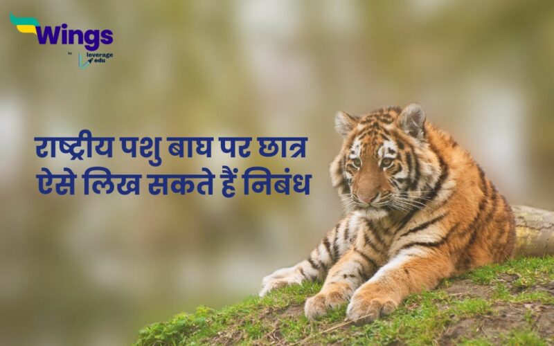 tiger essay hindi mai