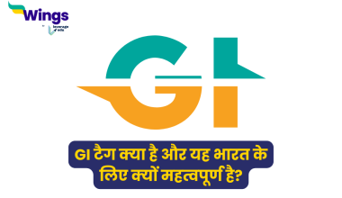 GI Tag in Hindi