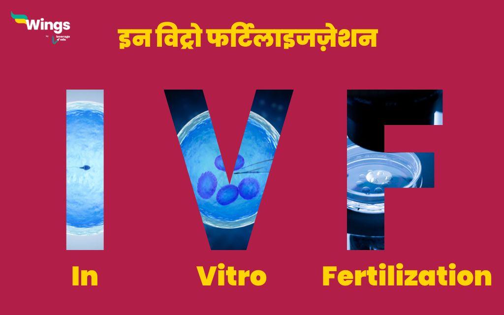 IVF Full Form in Hindi