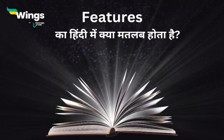 Features Meaning in hindi | अर्थ, उदाहरण और वाक्य प्रयोग