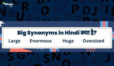 big synonyms in hindi