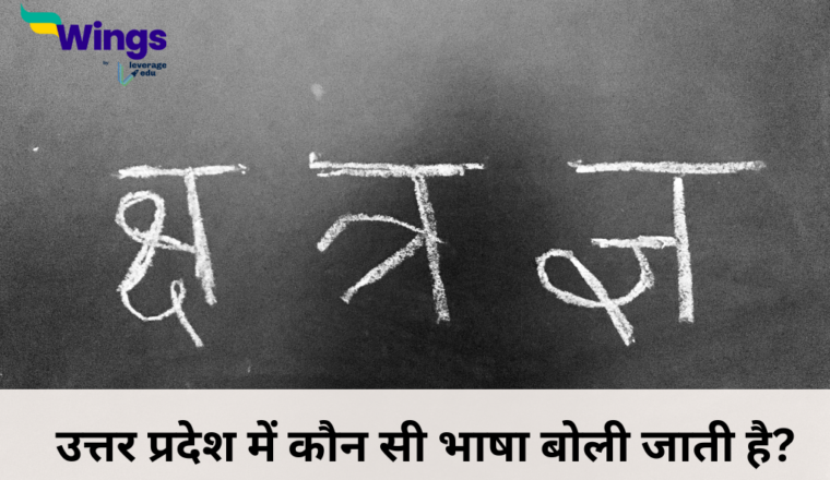 IG Full Form in Hindi: जानें आईजी की फुल फॉर्म क्या है? | Leverage Edu