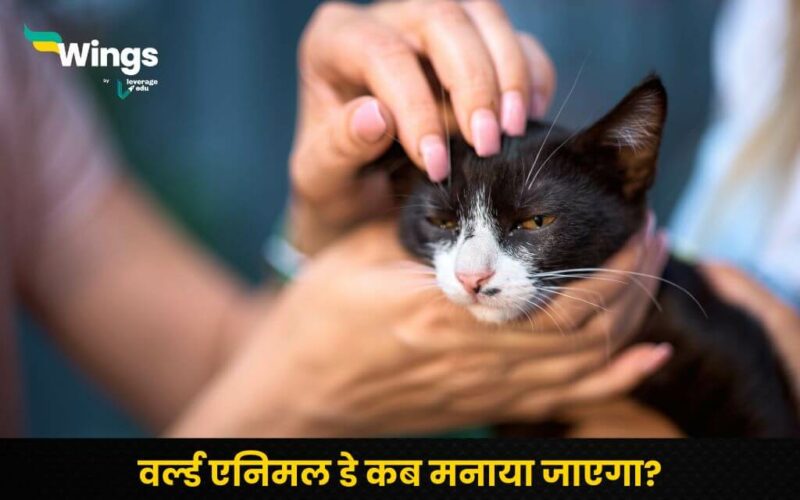 World Animal Welfare Day in Hindi (2)