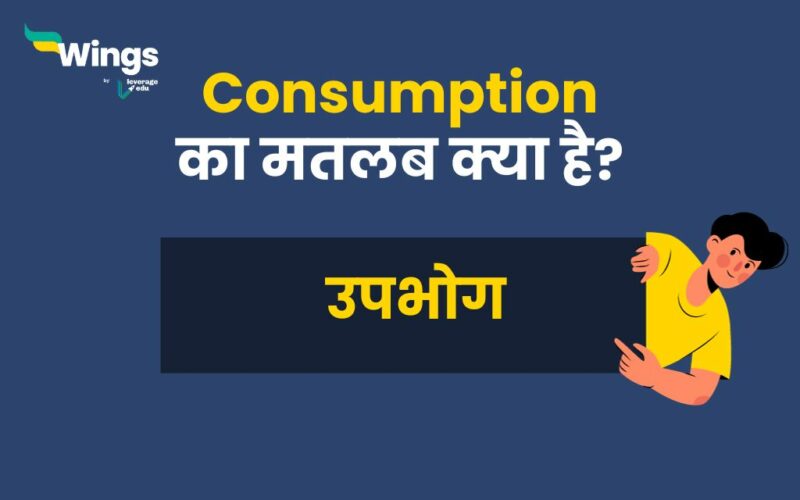 Consumption Meaning in Hindi