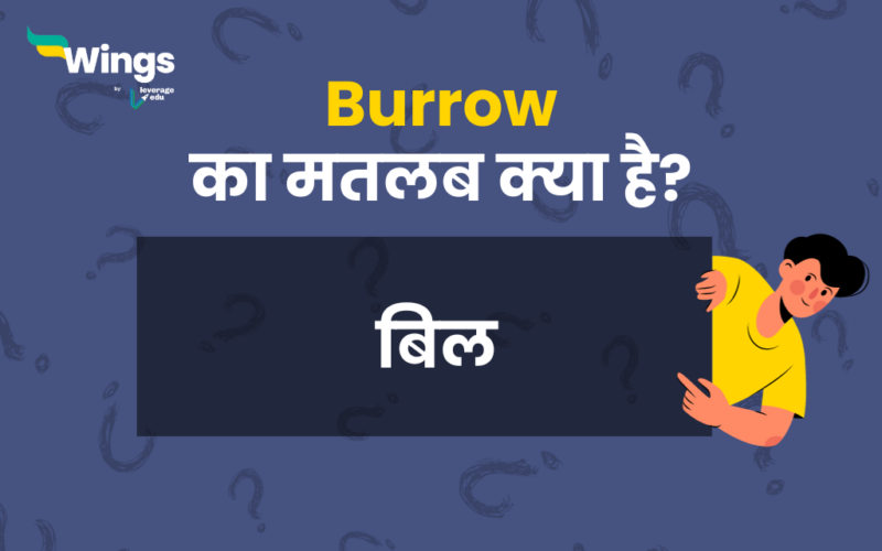 Burrow Meaning in Hindi