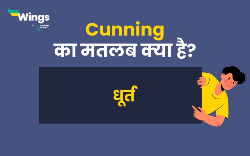 Cunning Meaning in Hindi