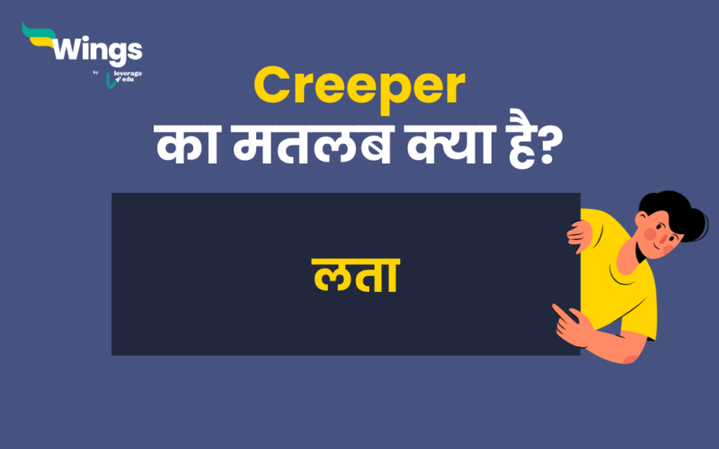 Creeper Meaning in Hindi