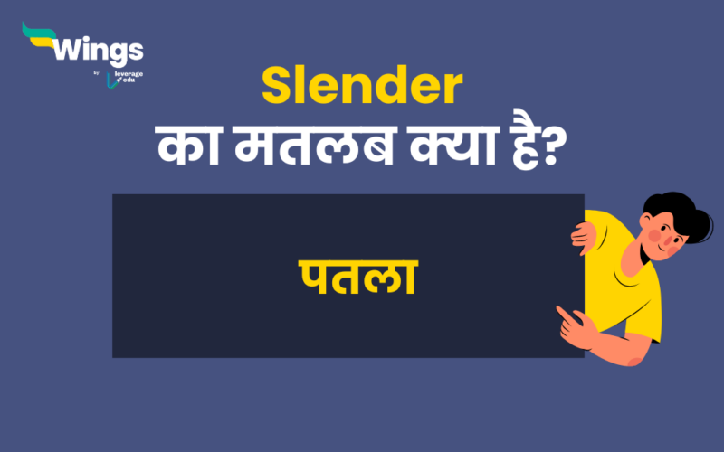 Slender Meaning in Hindi