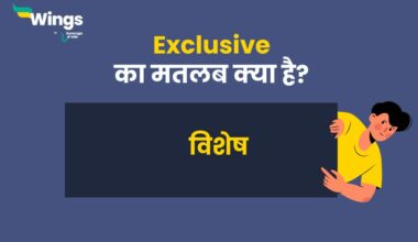 Exclusive Meaning in hindi 