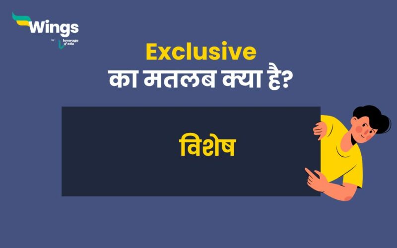 Exclusive Meaning in hindi 