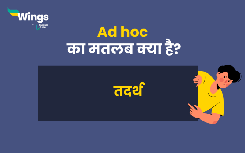 Ad hoc Meaning in Hindi