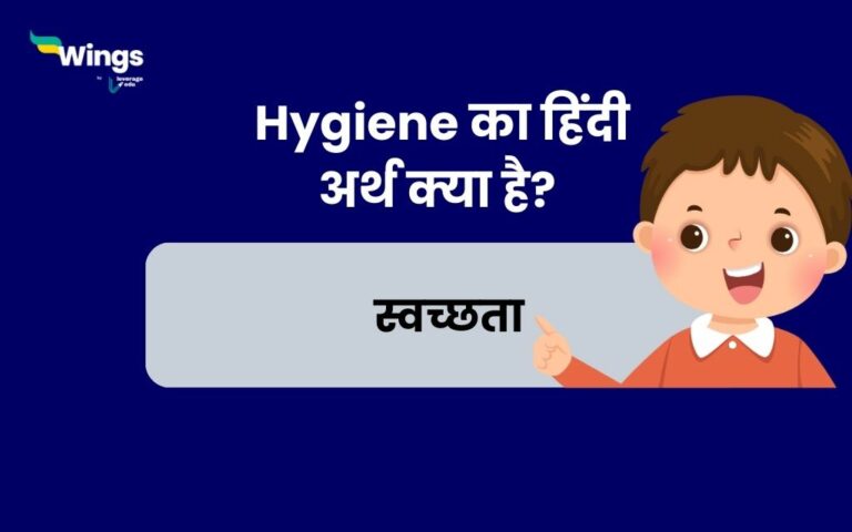 the meaning of hygiene in hindi