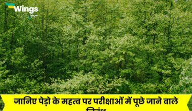Essay On Importance Of Trees In Hindi