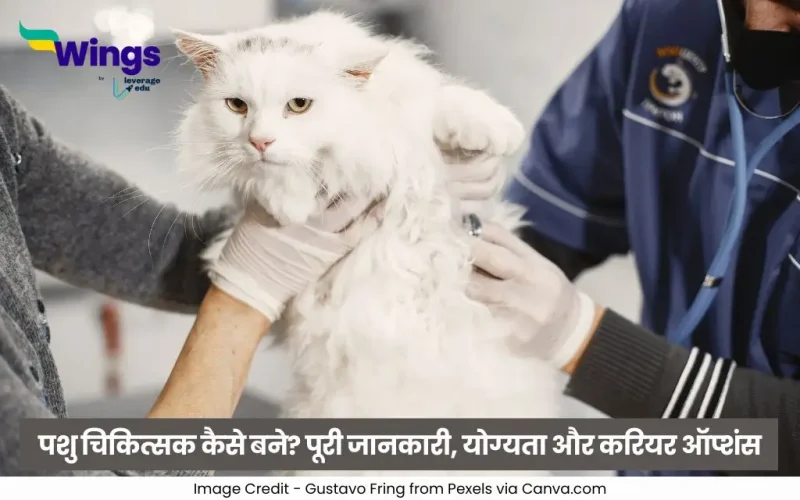 पशु चिकित्सक कैसे बने