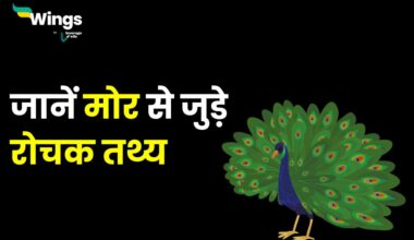 Interesting Facts About Peacock in Hindi : जानिए मोर से जुड़े रोचक तथ्य