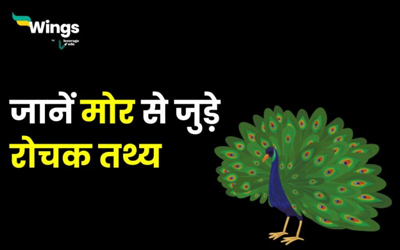 Interesting Facts About Peacock in Hindi : जानिए मोर से जुड़े रोचक तथ्य