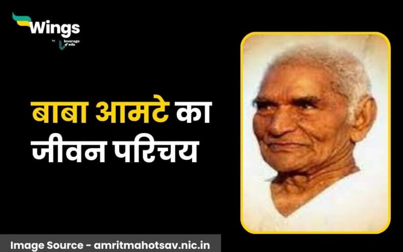 Baba Amte Biography in Hindi