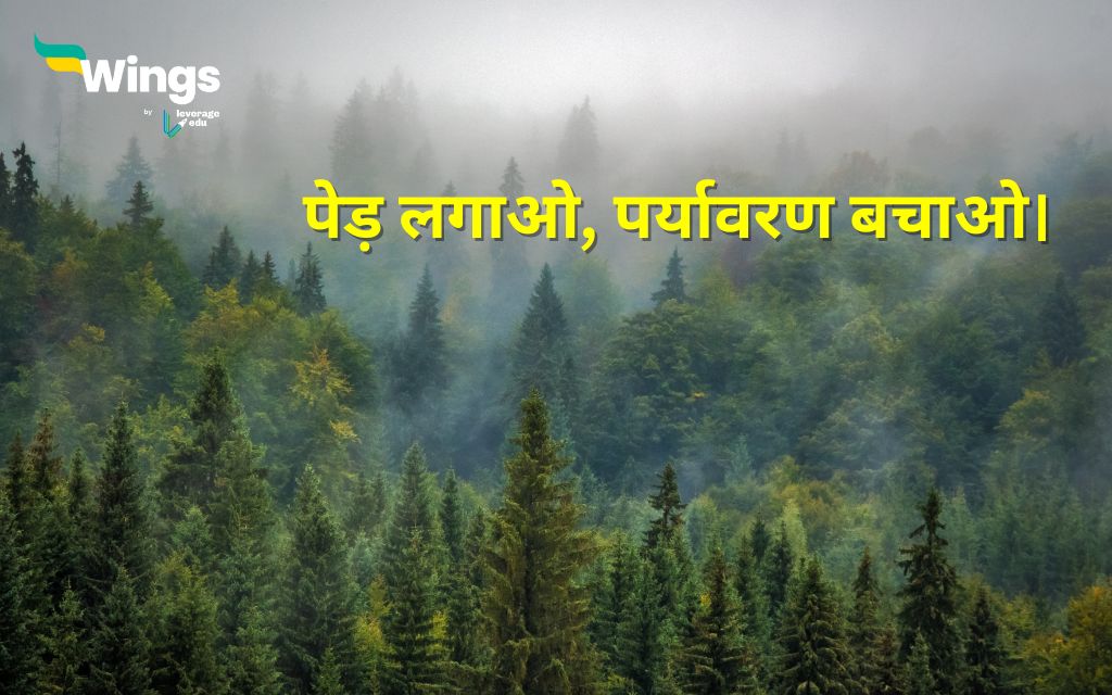 Save Forest Slogan in Hindi