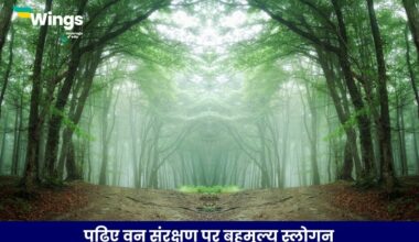 Save Forest Slogan in Hindi