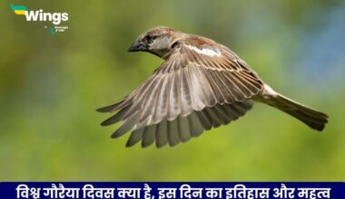 World Sparrow Day in Hindi