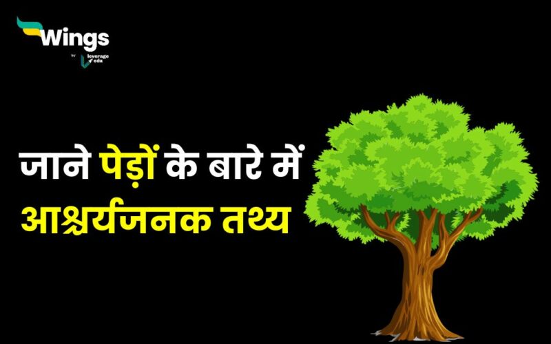 Tree Facts in Hindi