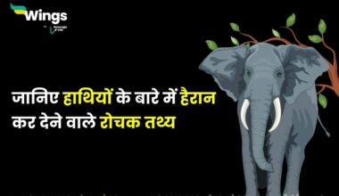 Facts About Elephant in Hindi