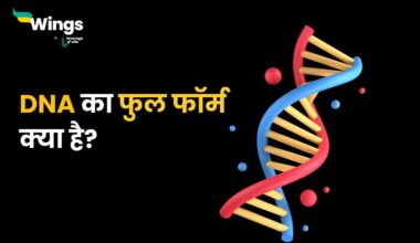 DNA Full Form in Medical in Hindi