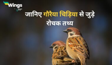 Facts About Sparrow in Hindi