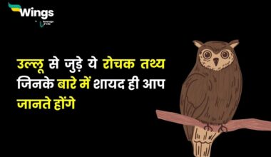 Facts About Owl in Hindi