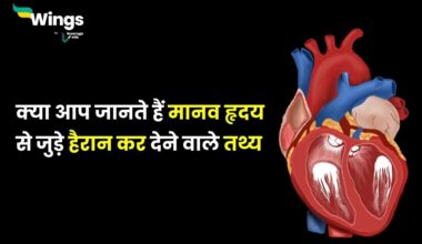 Heart Facts in Hindi