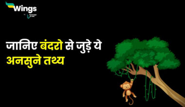 Monkey Facts in Hindi