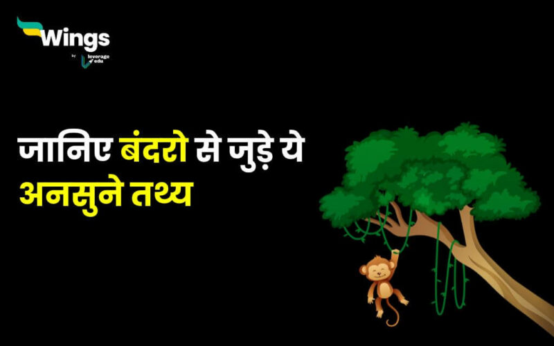 Monkey Facts in Hindi
