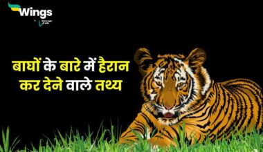 Facts About Tiger in Hindi