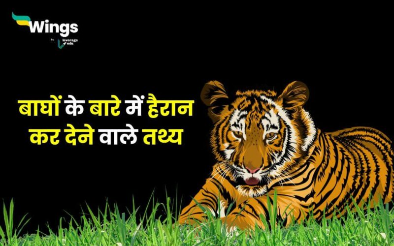 Facts About Tiger in Hindi