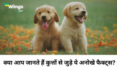 Facts About Dog in Hindi